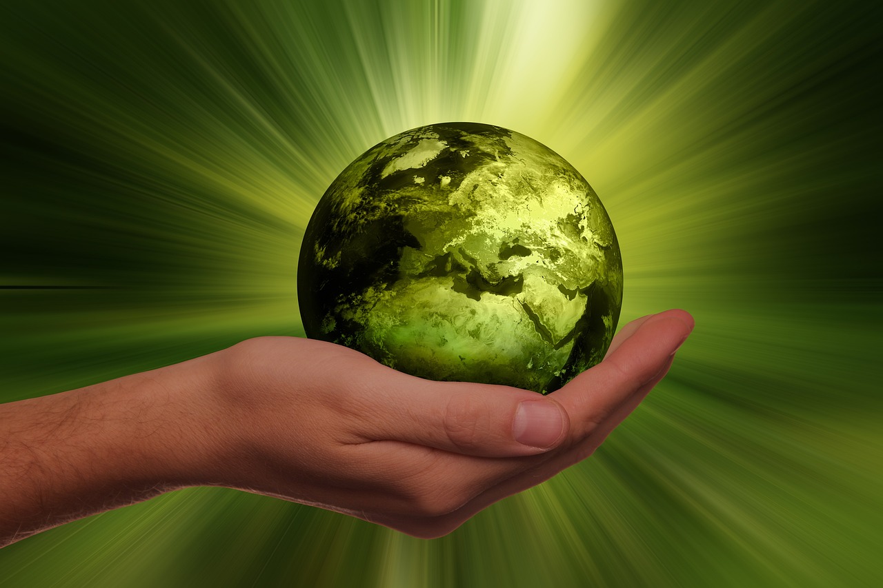 Productos de limpieza ecológicos que sí limpian